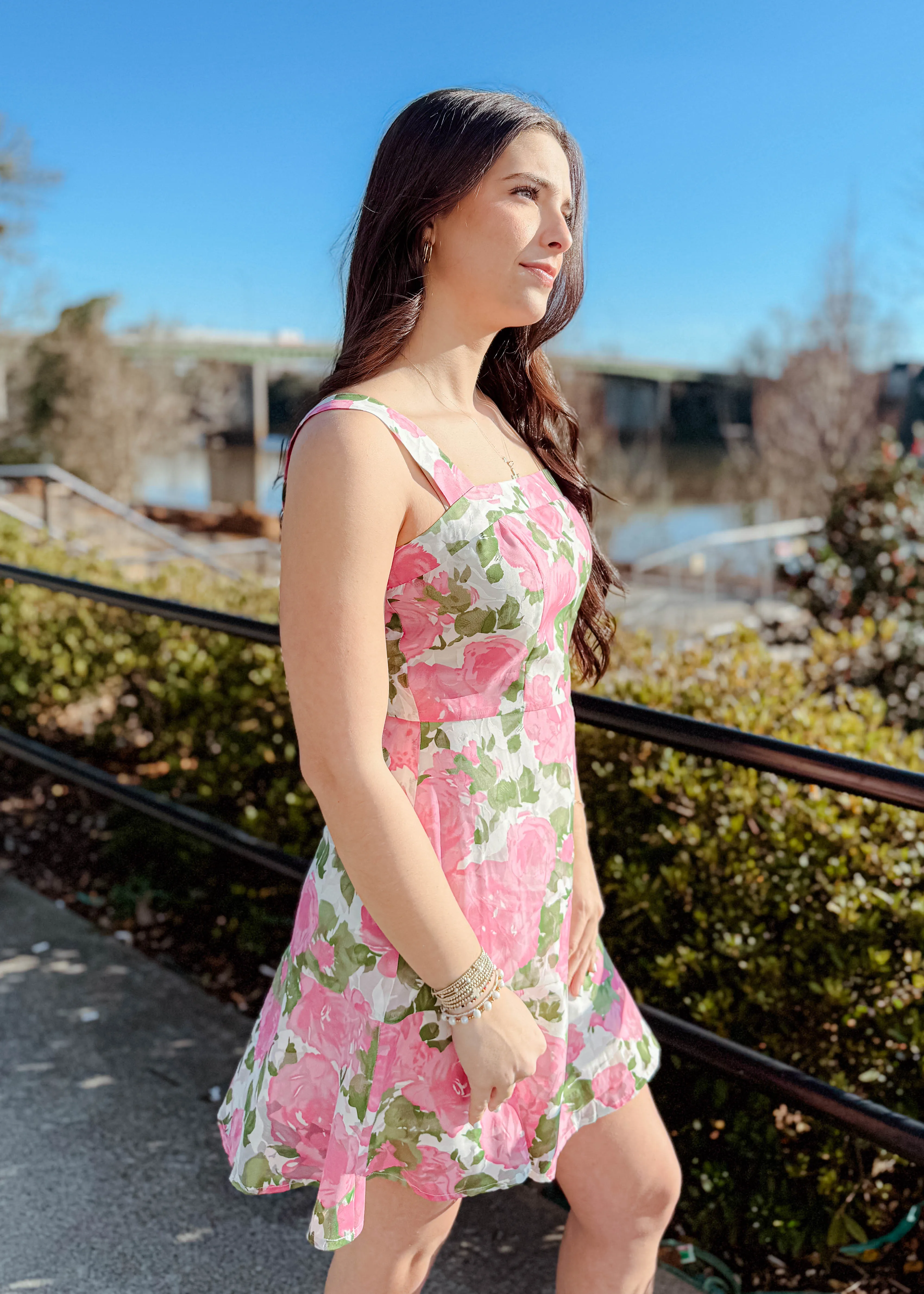 Alaina Mini Dress